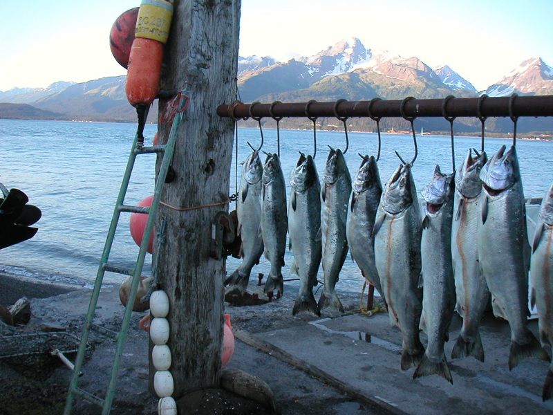 Fishing Jobs in Alaska