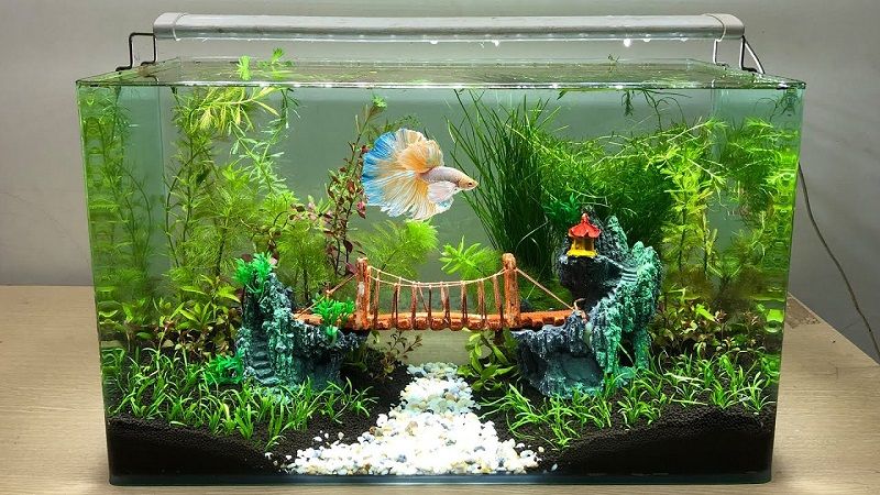 Cheap Fish Tank Decorations