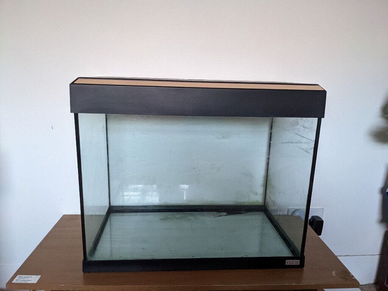 Used Fish Tanks For Sale Near Me