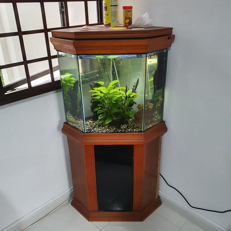 Hexagon Fish Tank With Stand