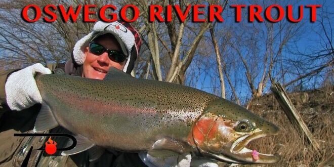 Oswego River Fishing Report