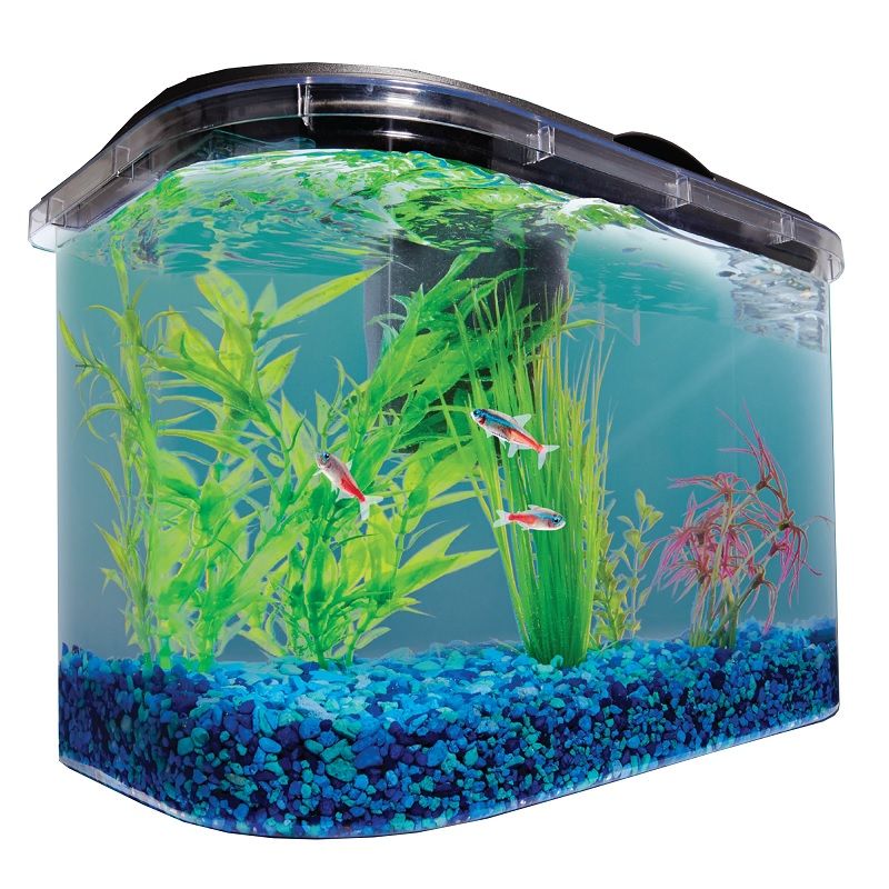 Petco Fish Tank Sale
