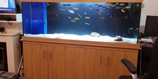 Used Fish Tanks For Sale Near Me