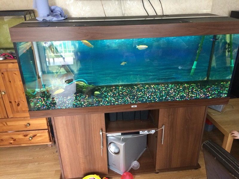 Cheap Fish Tanks For Sale