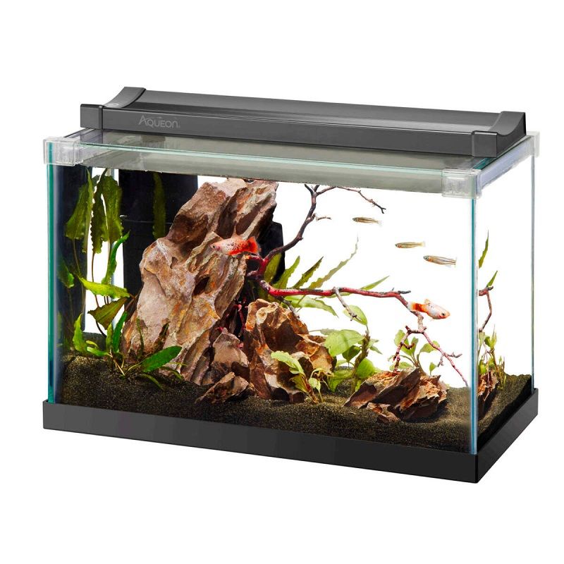 Cool Fish Tanks For Sale