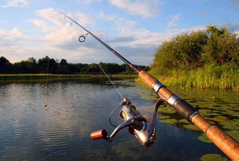 Types of Fishing Rods