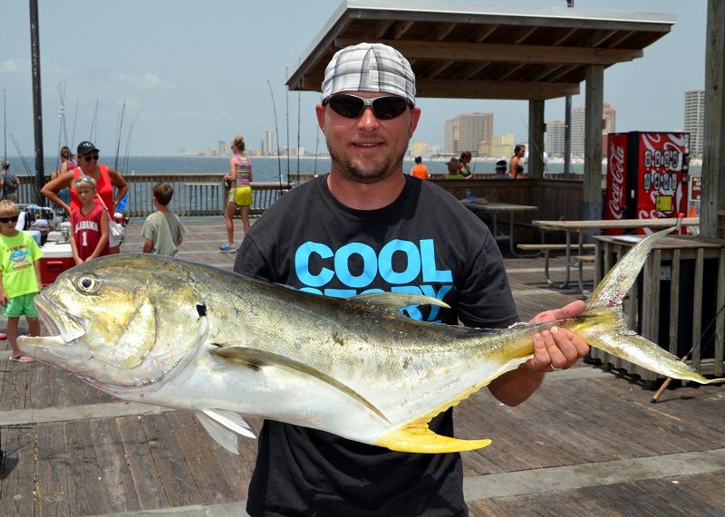 Fishing Report Mobile Bay Alabama