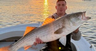 Fishing Reports Nor'easter