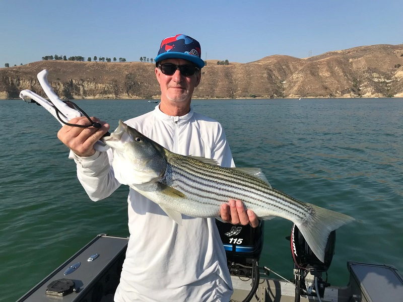 Lake Mead Fishing Report