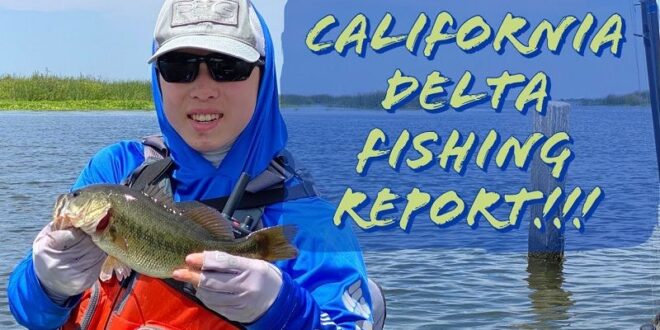 California Delta Fishing Report