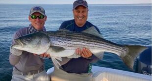 Long Island Sound Fishing Report