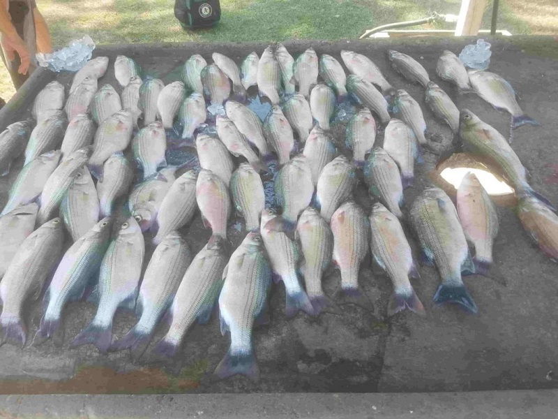 Lake Livingston Fishing Report
