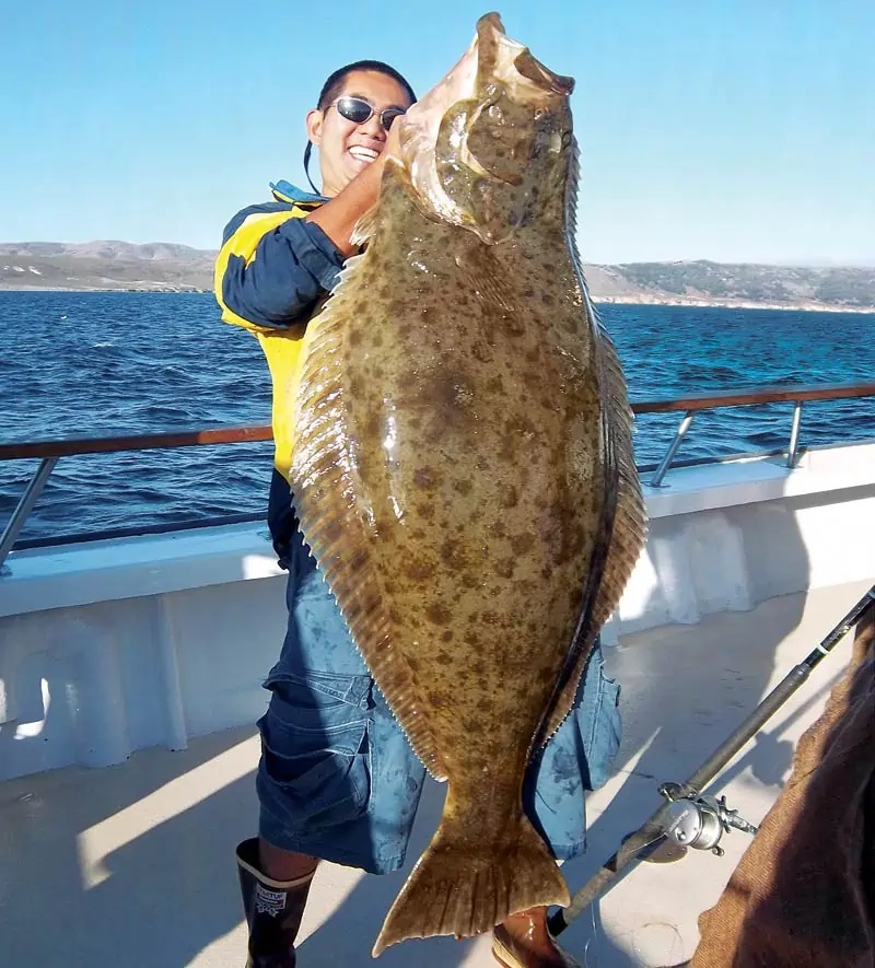 Saltwater Fishing in the Channel Islands