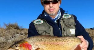 Clear Creek Fishing Report